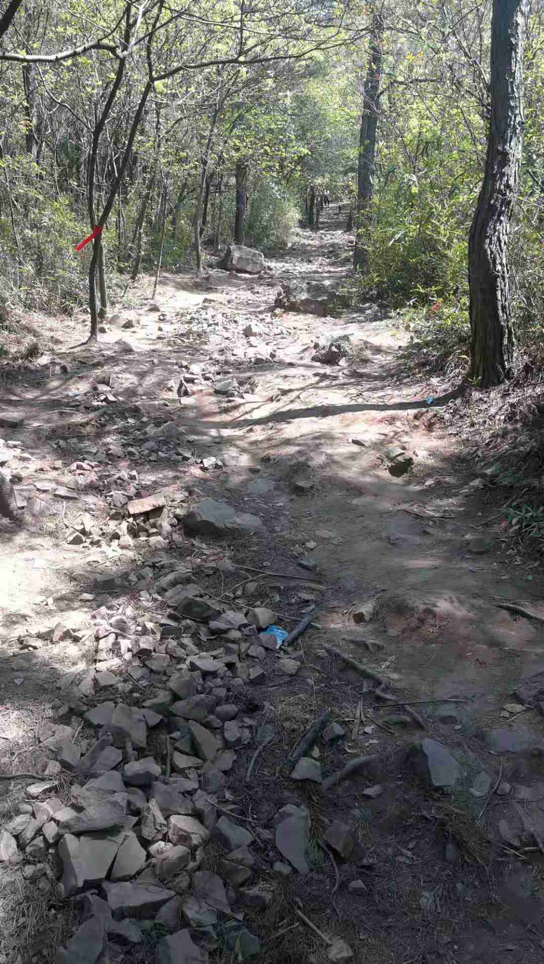 苏州绝望坡有多火爆,究竟是怎么一回事?