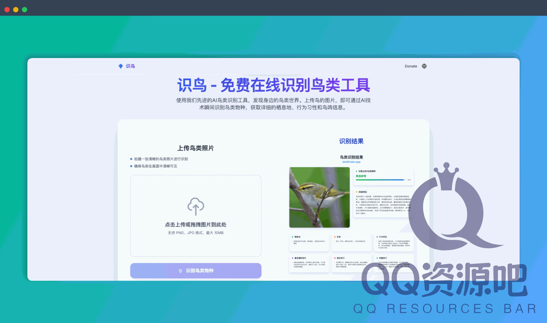 识鸟：一个AI 识鸟神器，只需上传一张鸟的照片，它就能瞬间告诉你鸟的种类、习性、栖息地
