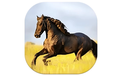YourTV 你的电视TV v2.4.1 清爽版