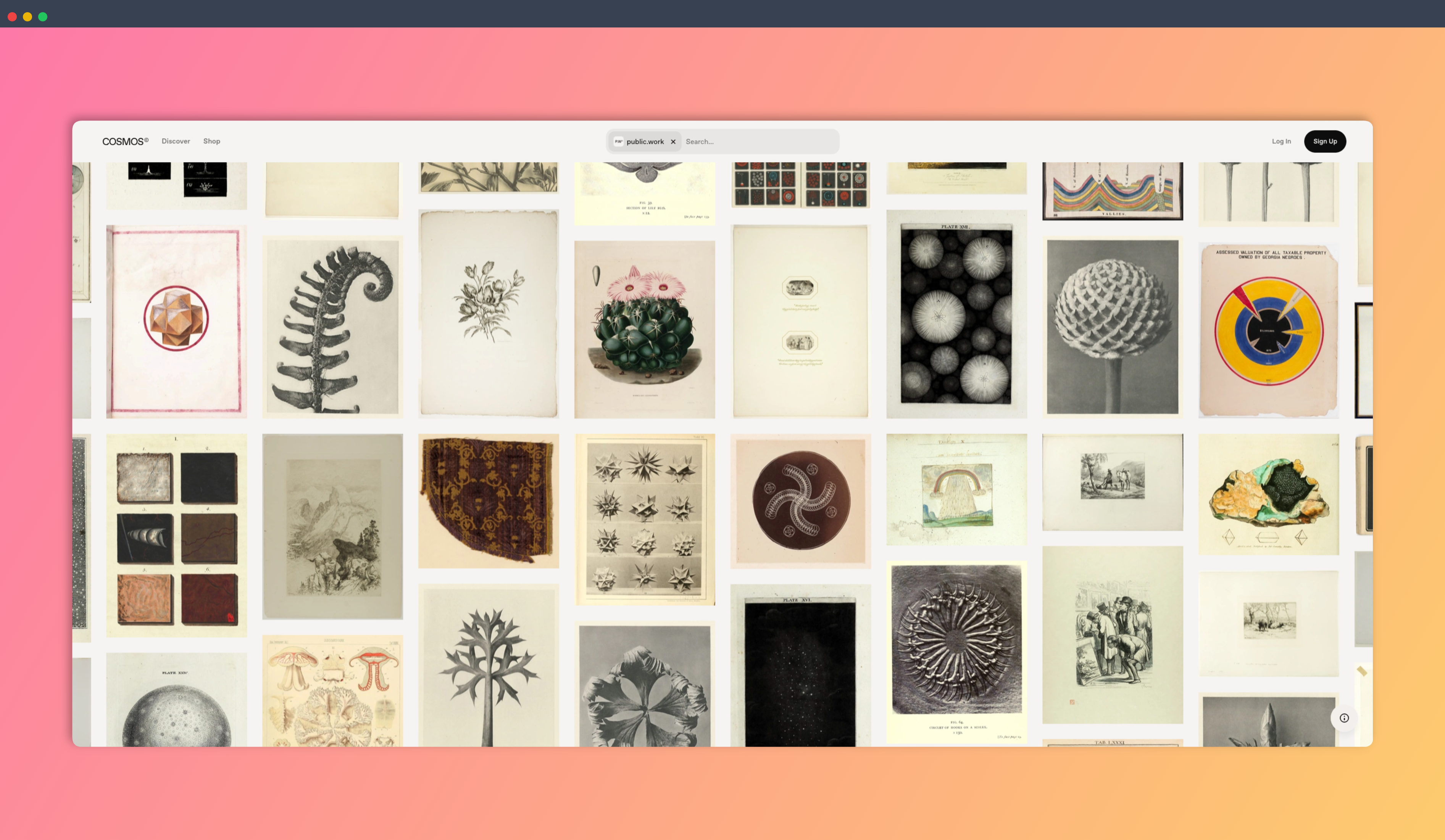 Cosmos Public Work：一个公共领域内容搜索引擎，汇集10万+免费高清图片素材，包括人文艺术地理建筑，设计从此不愁图！