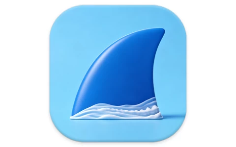 网络抓包工具 Wireshark v4.6.5 绿色便携版