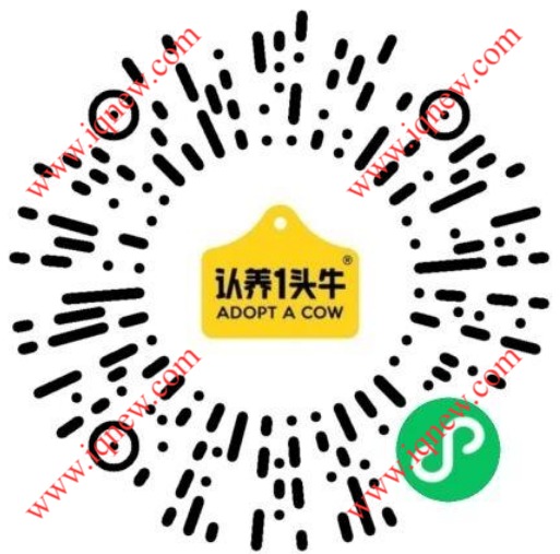 二维码_www.iqnew.com