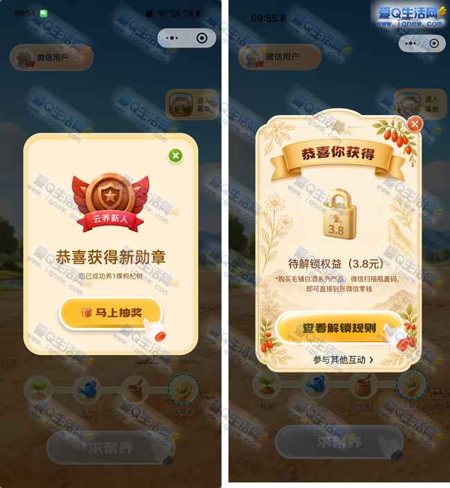 毛铺每日种树抽实物/现金 反馈3.8元现金