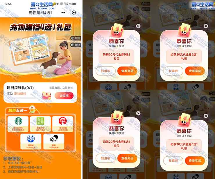 平安好车主宠物建档 奶茶20元代金券五选一-www.iqnew.com