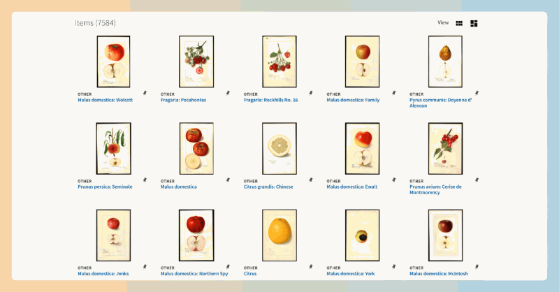 USDA Pomological Watercolors：美国农业部提供的7000多种手绘水果图像，可以免费下载和使用这些图像，无需担心版权