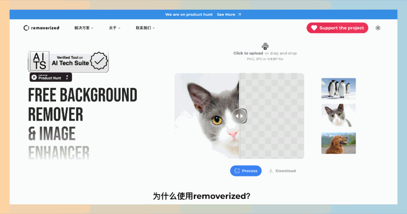 Removerized：免费人工智能驱动的背景去除工具