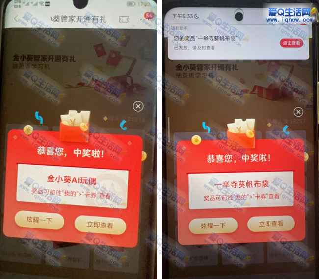 招行金小葵开通有礼 亲测小招喵生手包_www.iqnew.com