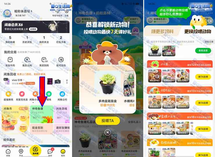 闲鱼神奇鱼塘 投喂动物领自选实物礼品